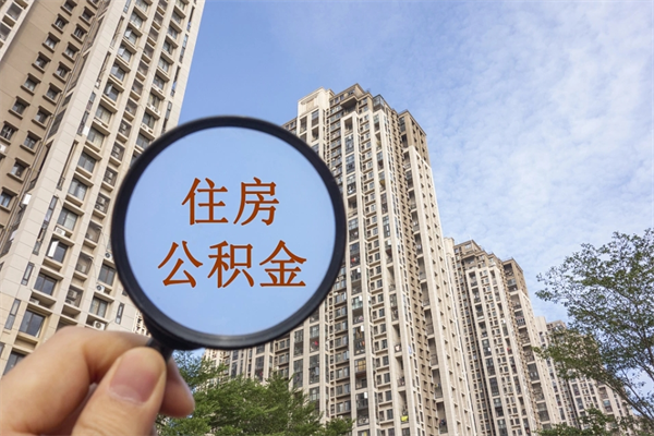 石狮个人公积金去哪儿取（住房公积金个人到哪里提取）